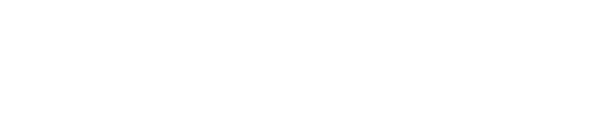 Black Beauty Systems Logo Design - White